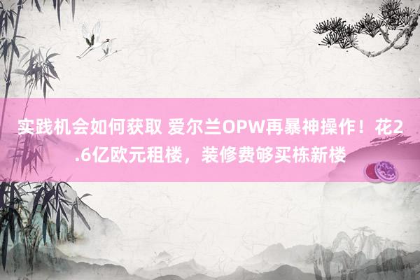 实践机会如何获取 爱尔兰OPW再暴神操作！花2.6亿欧元租楼，装修费够买栋新楼