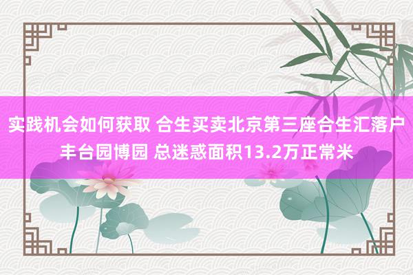 实践机会如何获取 合生买卖北京第三座合生汇落户丰台园博园 总迷惑面积13.2万正常米