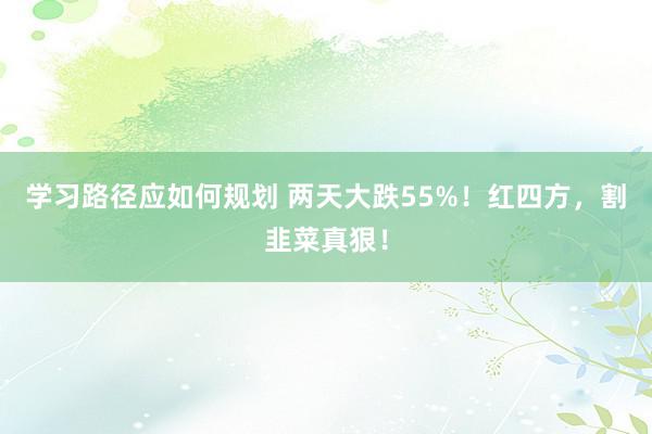 学习路径应如何规划 两天大跌55%！红四方，割韭菜真狠！