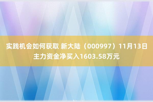 实践机会如何获取 新大陆（000997）11月13日主力资金净买入1603.58万元