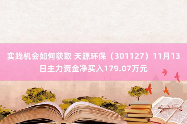 实践机会如何获取 天源环保（301127）11月13日主力资金净买入179.07万元