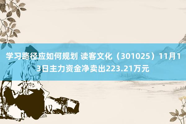 学习路径应如何规划 读客文化（301025）11月13日主力资金净卖出223.21万元