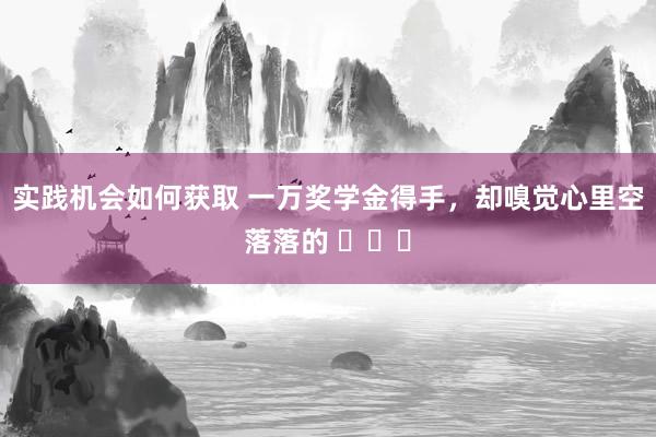 实践机会如何获取 一万奖学金得手，却嗅觉心里空落落的 ​​​