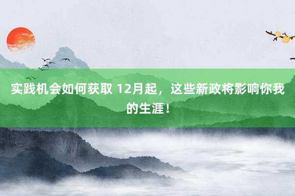 实践机会如何获取 12月起，这些新政将影响你我的生涯！