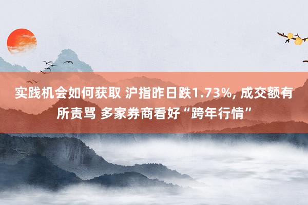 实践机会如何获取 沪指昨日跌1.73%, 成交额有所责骂 多家券商看好“跨年行情”