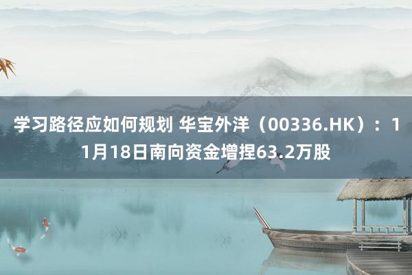 学习路径应如何规划 华宝外洋（00336.HK）：11月18日南向资金增捏63.2万股