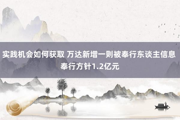 实践机会如何获取 万达新增一则被奉行东谈主信息 奉行方针1.2亿元