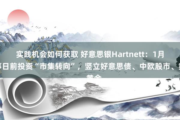 实践机会如何获取 好意思银Hartnett：1月接事日前投资“市集转向”，竖立好意思债、中欧股市、黄金