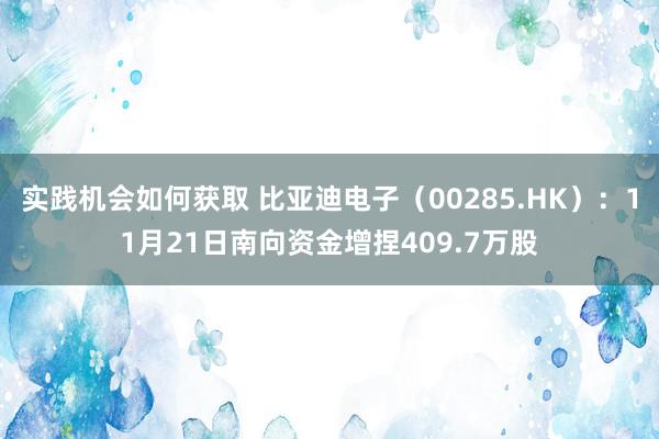 实践机会如何获取 比亚迪电子（00285.HK）：11月21日南向资金增捏409.7万股