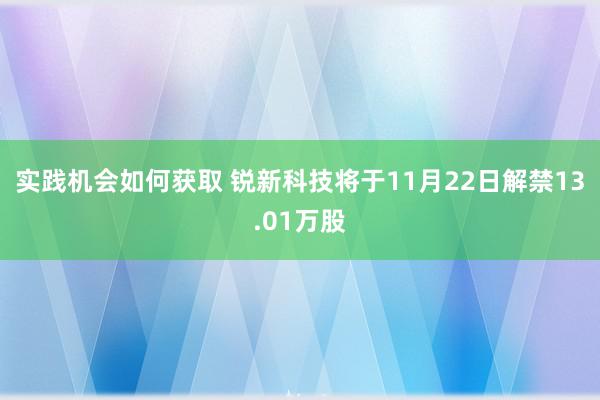 实践机会如何获取 锐新科技将于11月22日解禁13.01万股