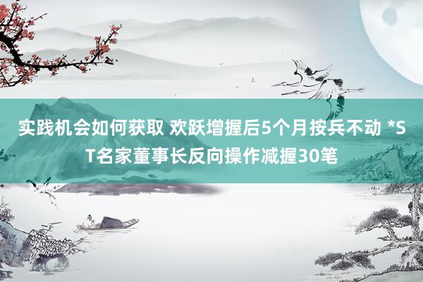 实践机会如何获取 欢跃增握后5个月按兵不动 *ST名家董事长反向操作减握30笔