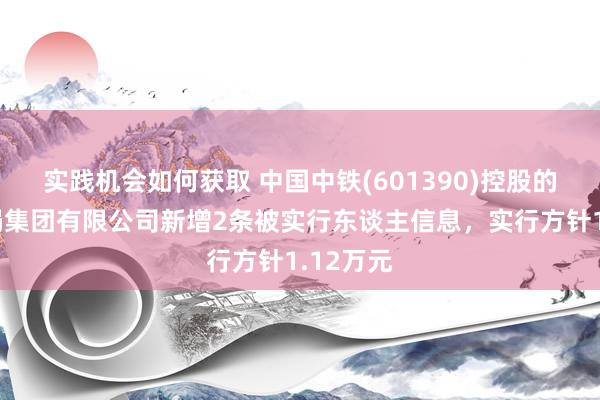 实践机会如何获取 中国中铁(601390)控股的中铁五局集团有限公司新增2条被实行东谈主信息，实行方针1.12万元