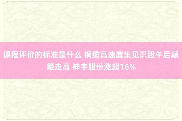 课程评价的标准是什么 铜缆高速麇集见识股午后颠簸走高 神宇股份涨超16%