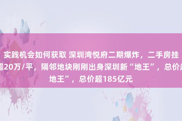 实践机会如何获取 深圳湾悦府二期爆炸，二手房挂牌价多半超20万/平，隔邻地块刚刚出身深圳新“地王”，总价超185亿元