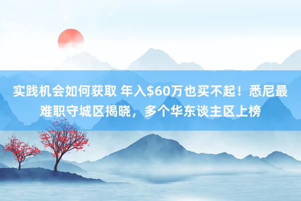 实践机会如何获取 年入$60万也买不起！悉尼最难职守城区揭晓，多个华东谈主区上榜