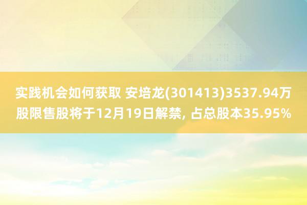 实践机会如何获取 安培龙(301413)3537.94万股限售股将于12月19日解禁, 占总股本35.95%