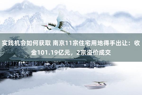 实践机会如何获取 南京11宗住宅用地得手出让：收金101.19亿元，2宗溢价成交