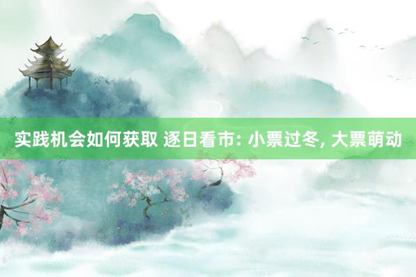 实践机会如何获取 逐日看市: 小票过冬, 大票萌动