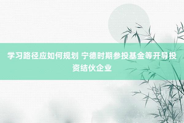 学习路径应如何规划 宁德时期参投基金等开导投资结伙企业