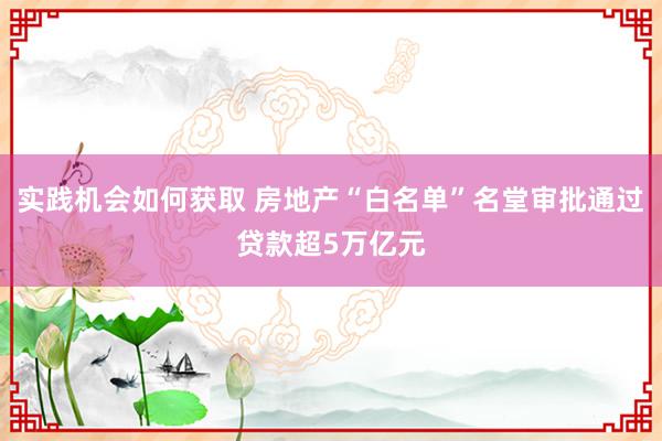 实践机会如何获取 房地产“白名单”名堂审批通过贷款超5万亿元