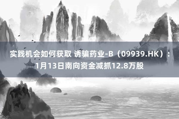 实践机会如何获取 诱骗药业-B（09939.HK）：1月13日南向资金减抓12.8万股