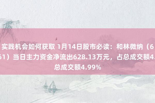 实践机会如何获取 1月14日股市必读：和林微纳（688661）当日主力资金净流出628.13万元，占总成交额4.99%