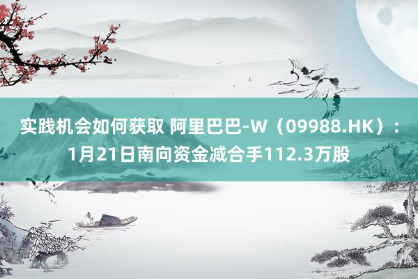 实践机会如何获取 阿里巴巴-W（09988.HK）：1月21日南向资金减合手112.3万股