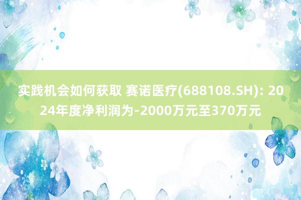 实践机会如何获取 赛诺医疗(688108.SH): 2024年度净利润为-2000万元至370万元