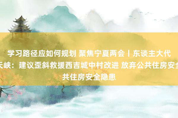 学习路径应如何规划 聚焦宁夏两会丨东谈主大代表马天峡：建议歪斜救援西吉城中村改进 放弃公共住房安全隐患