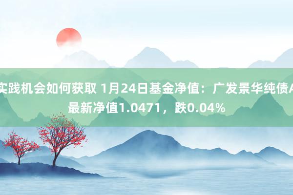 实践机会如何获取 1月24日基金净值：广发景华纯债A最新净值1.0471，跌0.04%