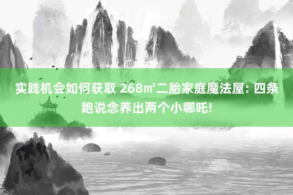 实践机会如何获取 268㎡二胎家庭魔法屋: 四条跑说念养出两个小哪吒!