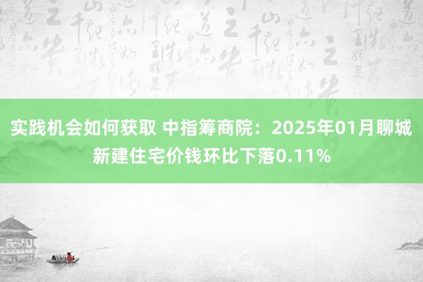 实践机会如何获取 中指筹商院：2025年01月聊城新建住宅价钱环比下落0.11%