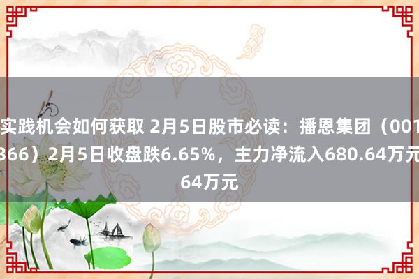 实践机会如何获取 2月5日股市必读：播恩集团（001366）2月5日收盘跌6.65%，主力净流入680.64万元