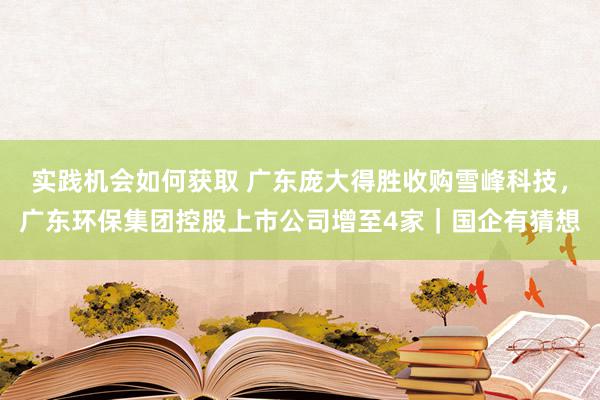 实践机会如何获取 广东庞大得胜收购雪峰科技，广东环保集团控股上市公司增至4家｜国企有猜想