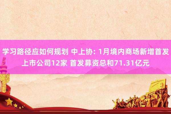 学习路径应如何规划 中上协: 1月境内商场新增首发上市公司12家 首发募资总和71.31亿元