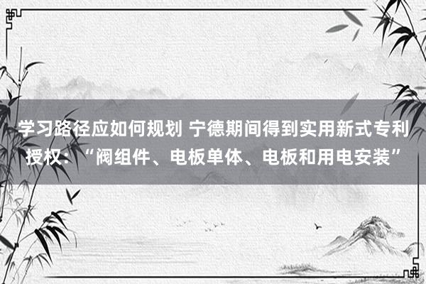 学习路径应如何规划 宁德期间得到实用新式专利授权：“阀组件、电板单体、电板和用电安装”