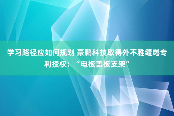 学习路径应如何规划 豪鹏科技取得外不雅缱绻专利授权：“电板盖板支架”