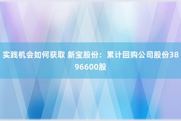 实践机会如何获取 新宝股份：累计回购公司股份3896600股