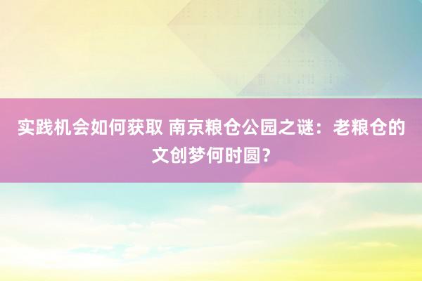 实践机会如何获取 南京粮仓公园之谜：老粮仓的文创梦何时圆？