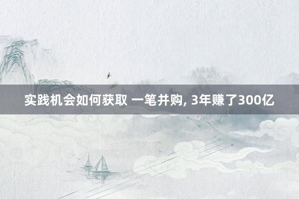 实践机会如何获取 一笔并购, 3年赚了300亿