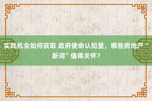 实践机会如何获取 政府使命认知里，哪些房地产“新词”值得关怀？