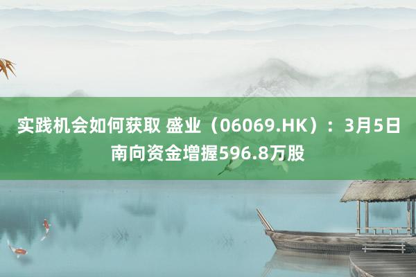 实践机会如何获取 盛业（06069.HK）：3月5日南向资金增握596.8万股