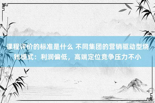 课程评价的标准是什么 不同集团的营销驱动型烧钱模式：利润偏低，高端定位竞争压力不小