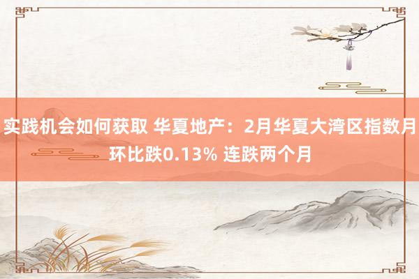 实践机会如何获取 华夏地产：2月华夏大湾区指数月环比跌0.13% 连跌两个月