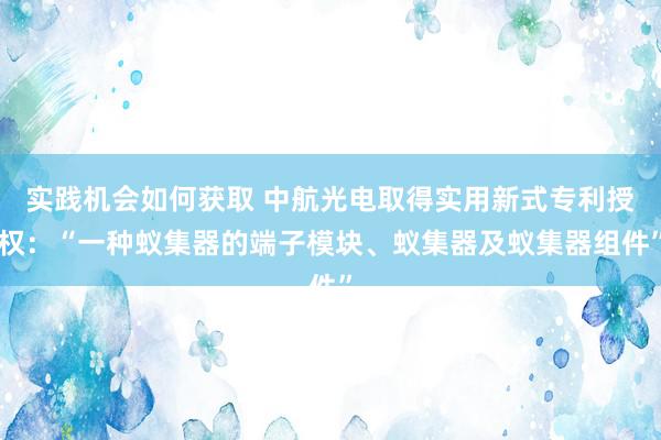 实践机会如何获取 中航光电取得实用新式专利授权：“一种蚁集器的端子模块、蚁集器及蚁集器组件”