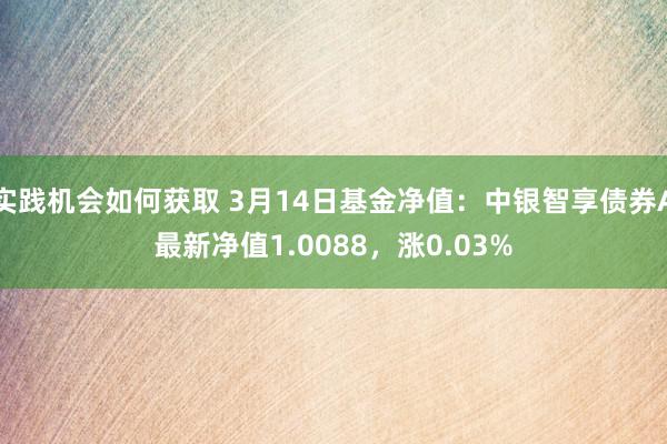 实践机会如何获取 3月14日基金净值：中银智享债券A最新净值1.0088，涨0.03%