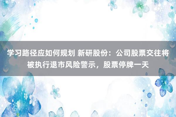 学习路径应如何规划 新研股份：公司股票交往将被执行退市风险警示，股票停牌一天